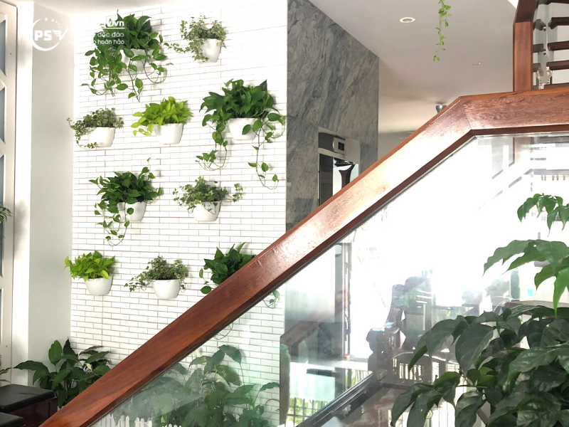 Tường cây giúp mang thiên nhiên vào căn biệt hộ