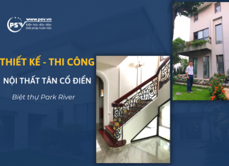 PSV thiết kế và thi công nội thất tân cổ điển