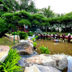 Canh-quan-tai-nha-mau-khu-do-thi-xanh-Ecopark