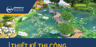 PSV thiết kế thi công cảnh quan sân vườn, hồ cá Koi