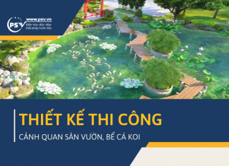 PSV thiết kế thi công cảnh quan sân vườn, hồ cá Koi